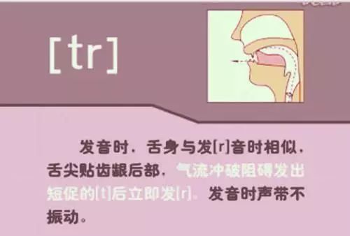 张中军音标发音48个教学视频合集,音标发音48个正确发音讲解视频