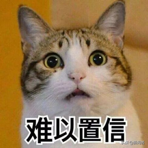 司机车库碾死醉汉,无罪谋杀后续