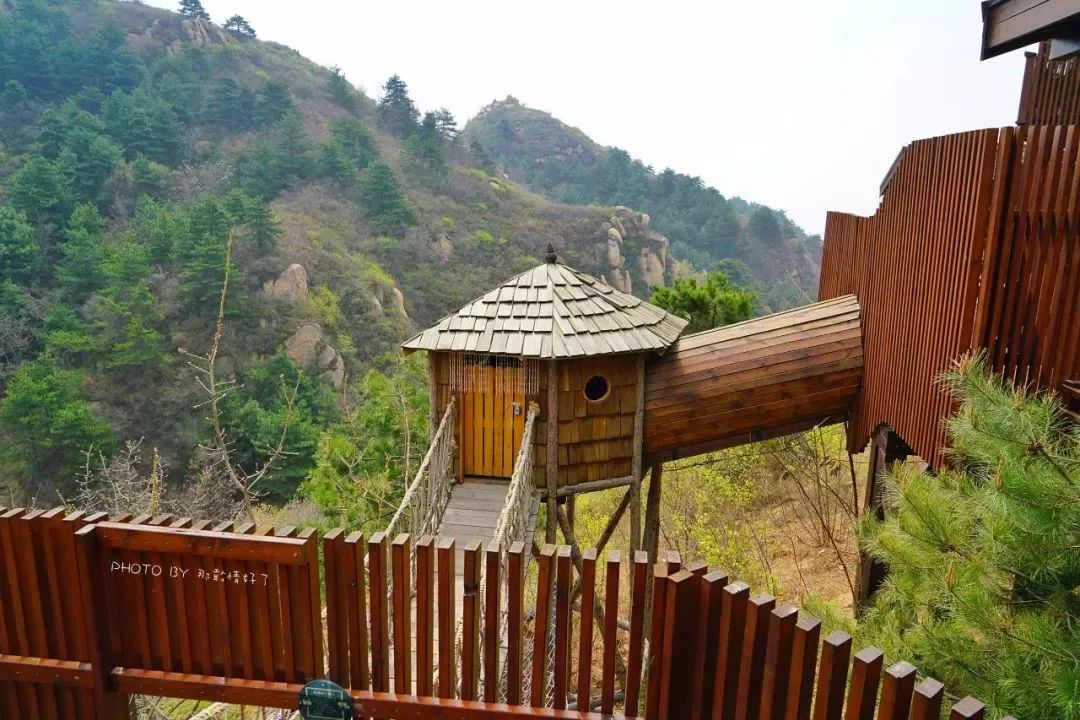 北京京郊童话树屋,台湾神奇的树屋