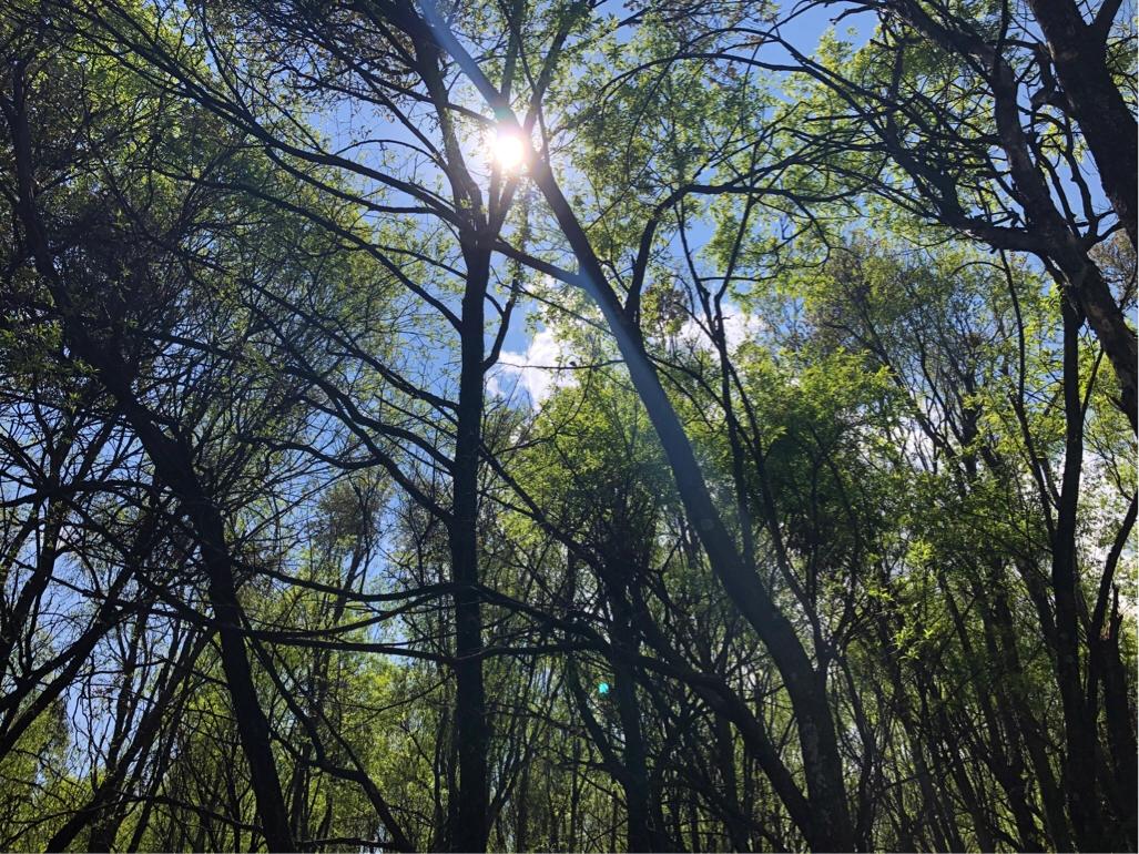 大理环海西路有哪些景点,你向往去的地方