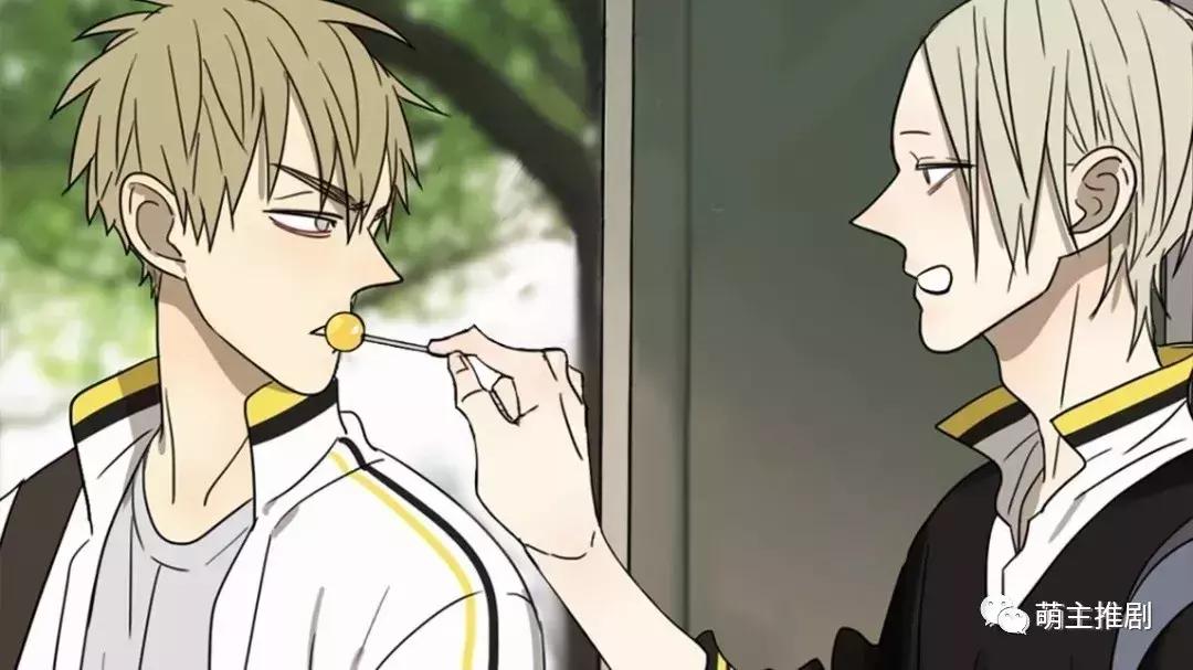 14部连载腐剧更新~