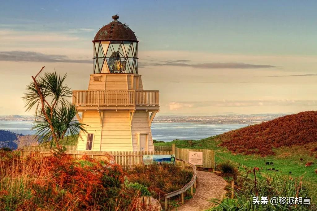 2017年新西兰投资移民,新西兰高额投资移民2020