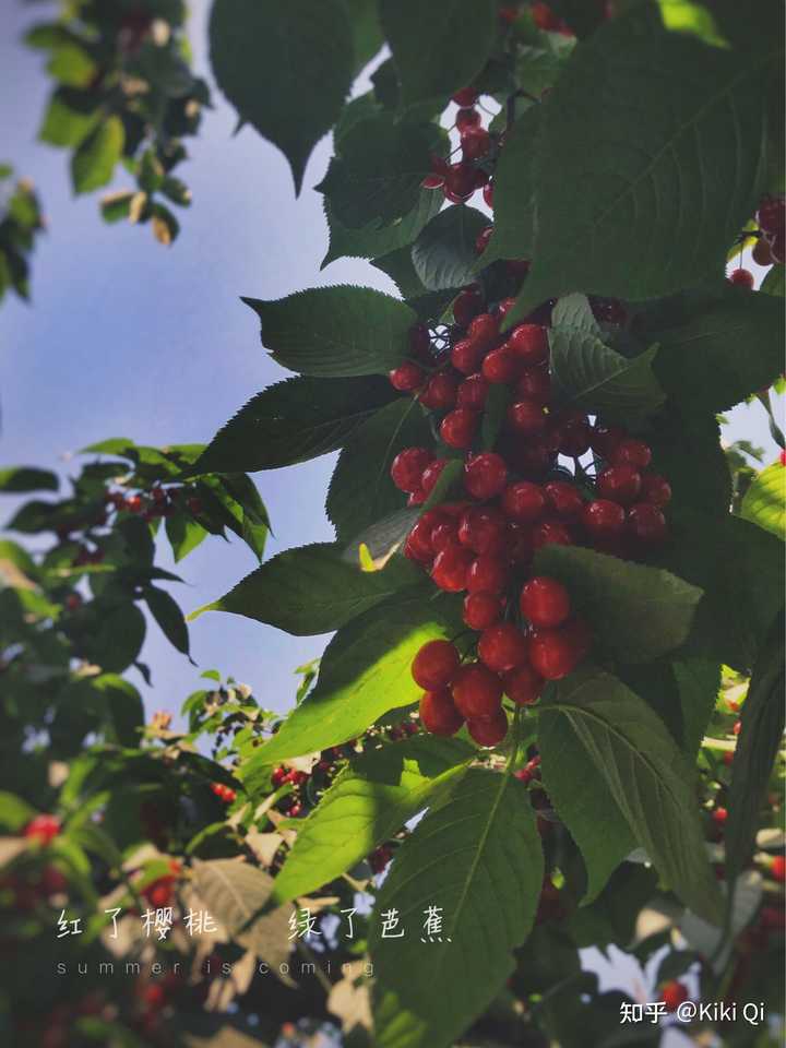 郑州有什么好吃的美食,郑州有什么好玩的地方情侣