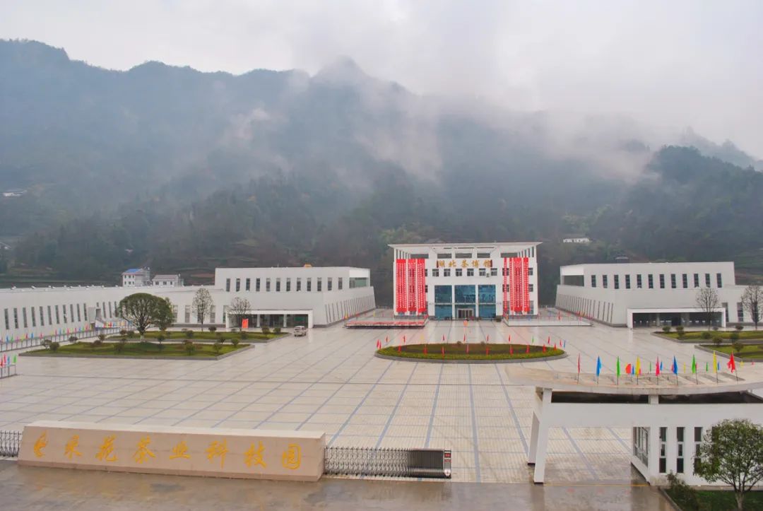 湖北茶叶排名前十品牌,中国产茶叶前十名的省