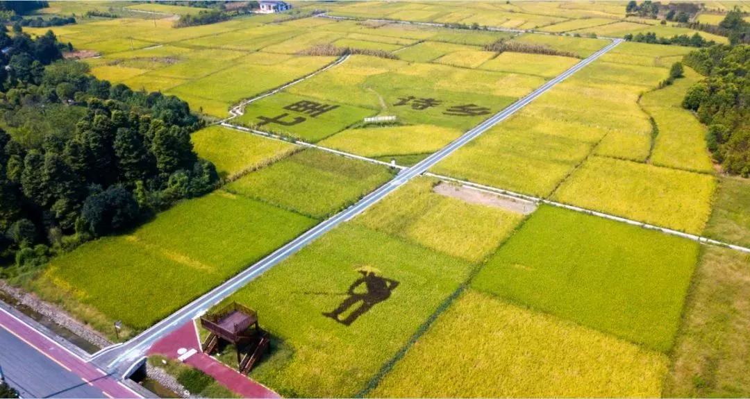 青城山熊猫谷都江堰一日游攻略,熊猫谷青城山都江堰一日游攻略