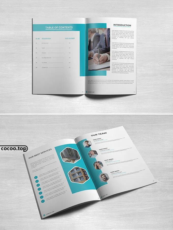 宣传册排版设计欣赏,清洁公司宣传册设计