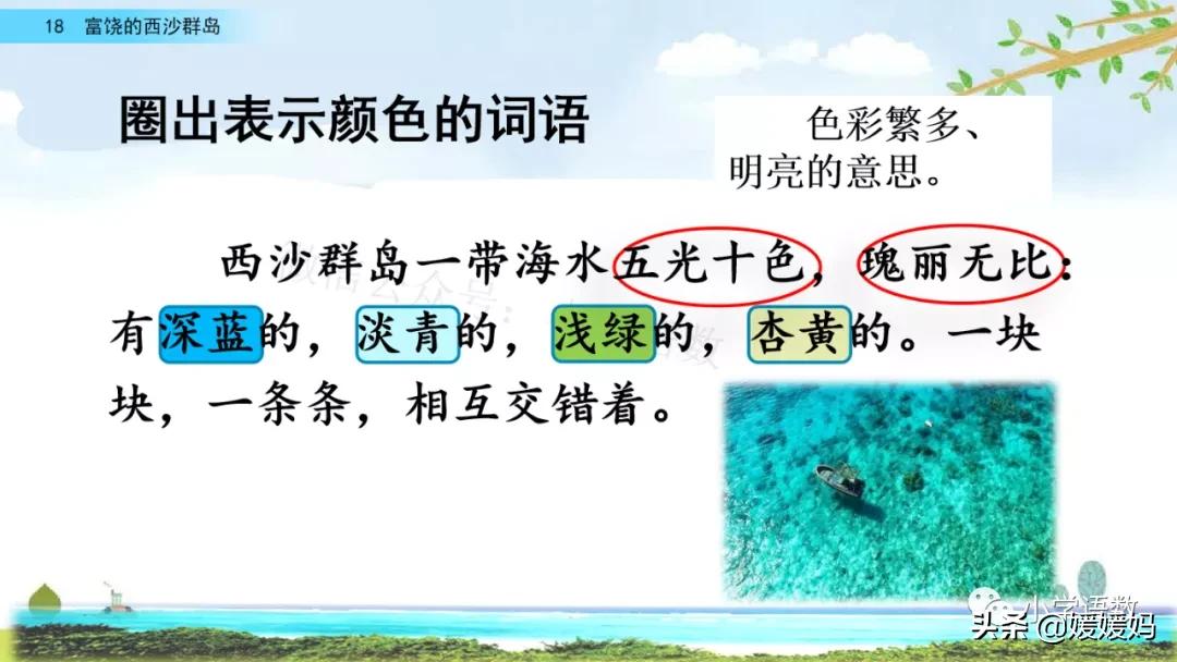 三年级第18课富饶的西沙群岛视频,三年级上册18富饶的西沙群岛笔记