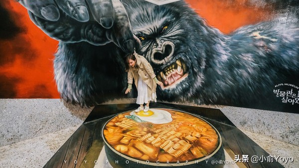 济州岛最值得去的地方,来济州岛第一天去哪玩