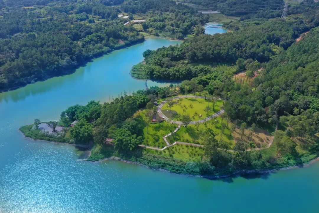 珍稀鸟类现身成都,在双流春游看花