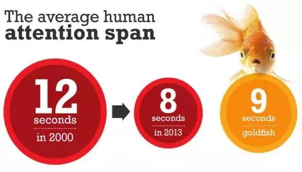 孩子不专心上学怎么办,孩子不专心怎么办要出去玩