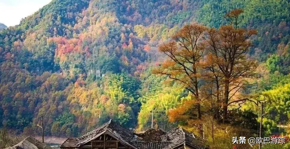 绍兴古道攻略一日游自由行,此生必去的三条国道