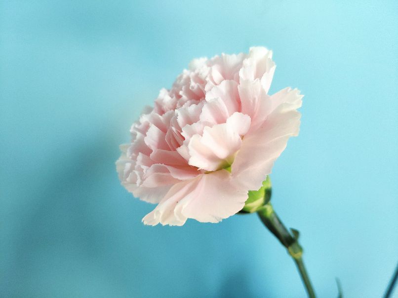 我和我的婆婆,我的婆婆妈呀