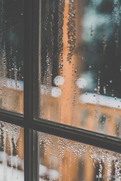 佛学经典讲座视频,佛学知识讲座