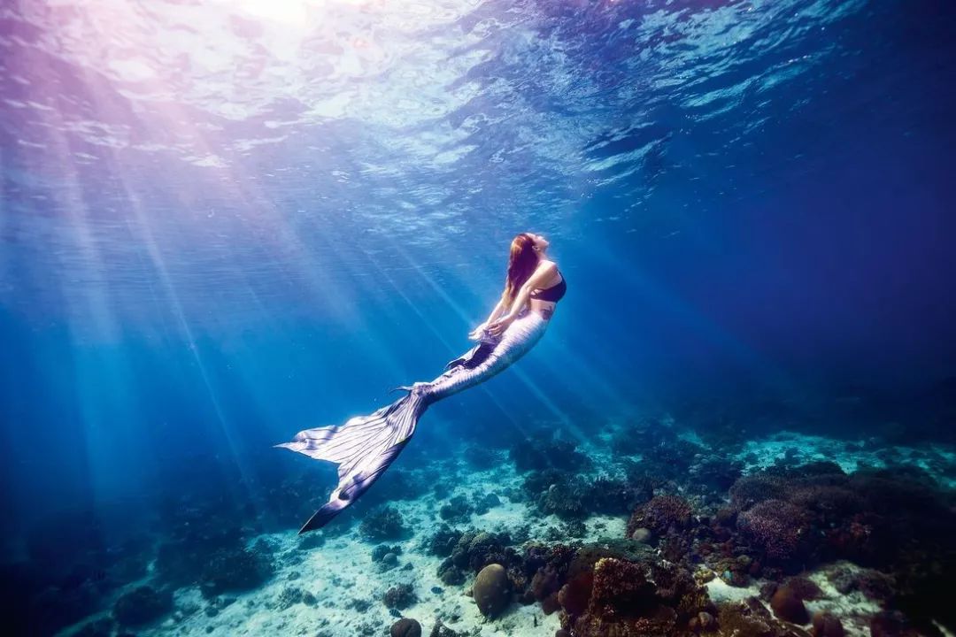 美人鱼水下课程,美人鱼海洋课程