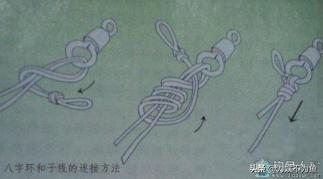 野钓通用主线子线搭配一览表,野钓主线子线搭配一览