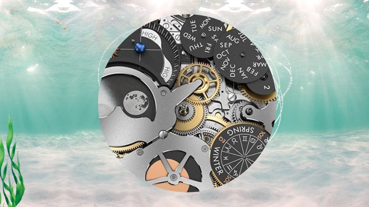 二手表一直碰到的误区,买二手表去哪鉴别