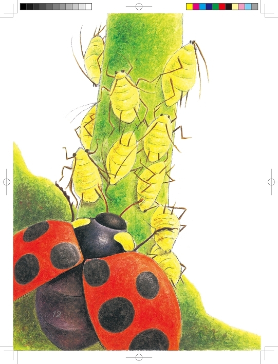 人类永远无法战胜虫子,人类永远造不出一只苍蝇