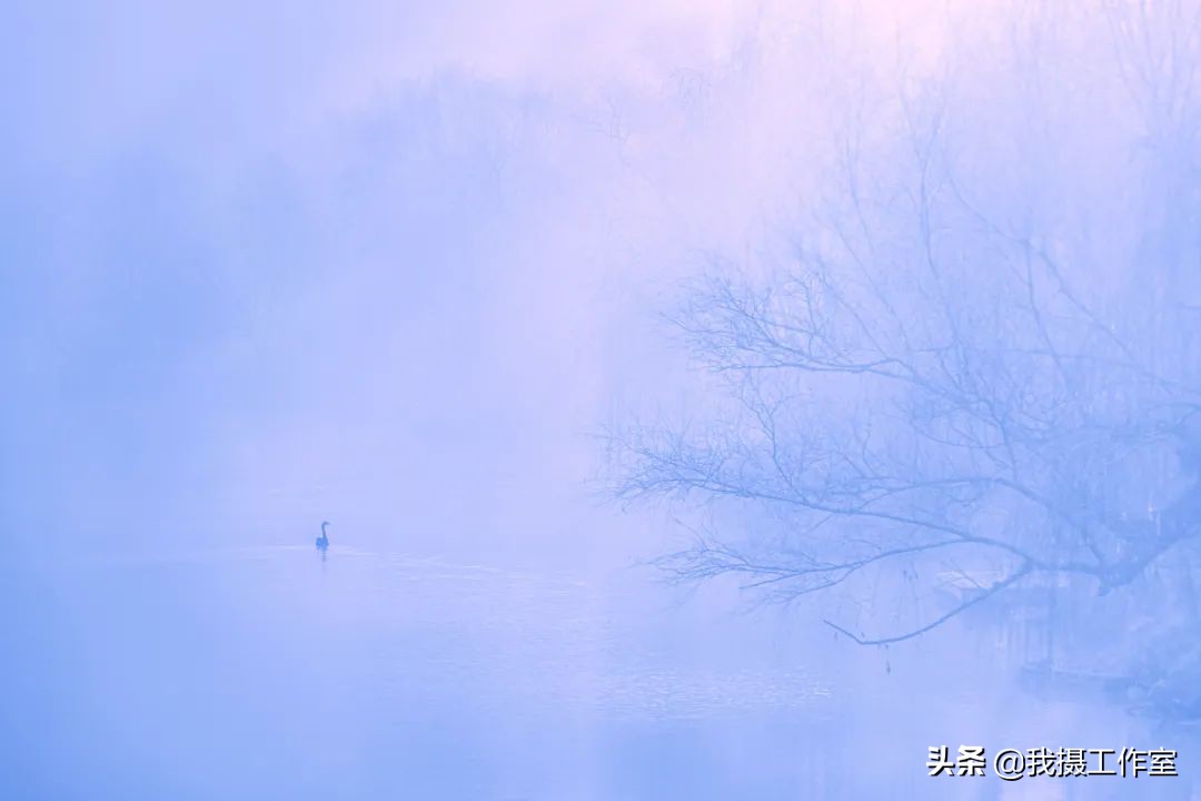 第16届国际摄影艺术展获奖作品,第29届全国摄影艺术展览作品集