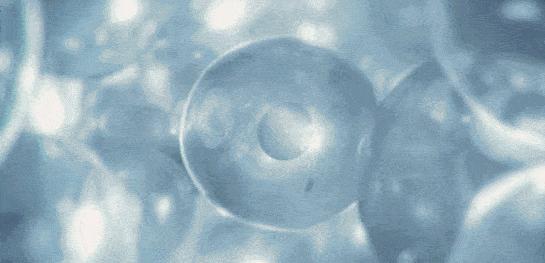 李小冉五官精致皮肤白皙透亮,70后女演员李小冉的高级搭配