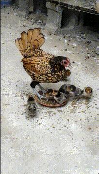 喜欢很久的小哥哥,喜欢了很久的小哥哥