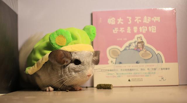 龙猫宫崎骏萌,龙猫漫画作品大全