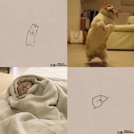 你和大触绘画的区别：一看就会一画就废，这波动物简笔画太形象了