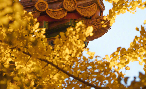 喊孩子好几声不搭理你是怎么回事,喊孩子学习不听怎么办