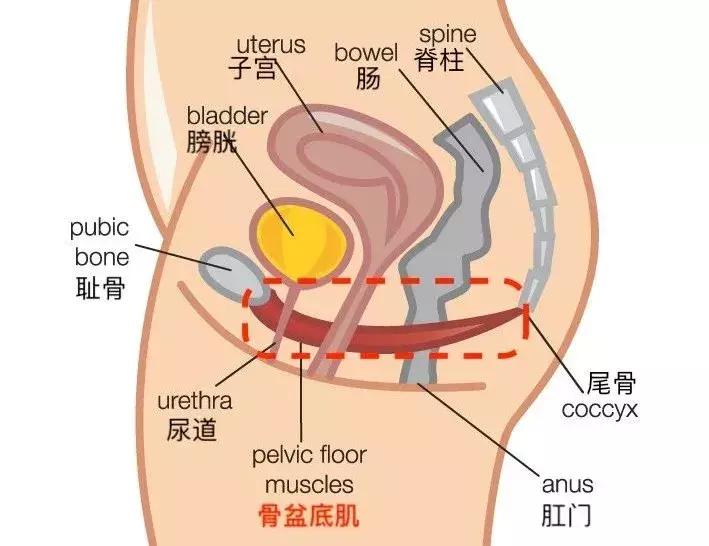 产后夫妻无工作怎么办,产后夫妻不和谐为什么