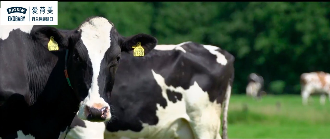 爱荷美奶粉与a2奶粉哪个好,爱荷美奶粉和宜品益臻哪款好