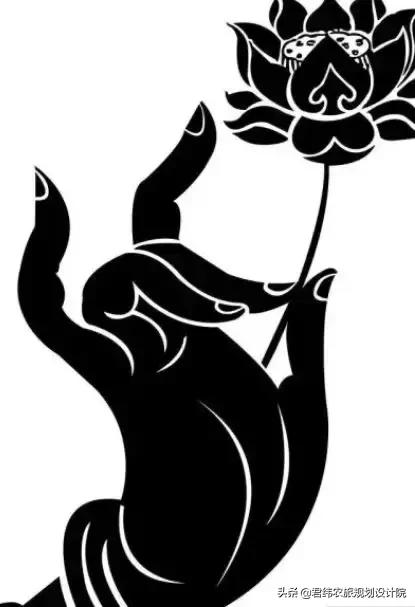 精品水果盘点,好吃又好养的水果