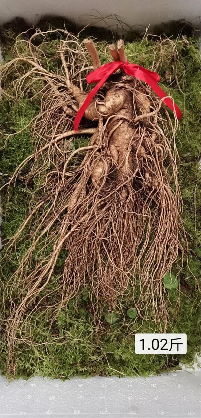 人参7两为参八两为宝什么意思,人参为什么说7两为参8两为宝