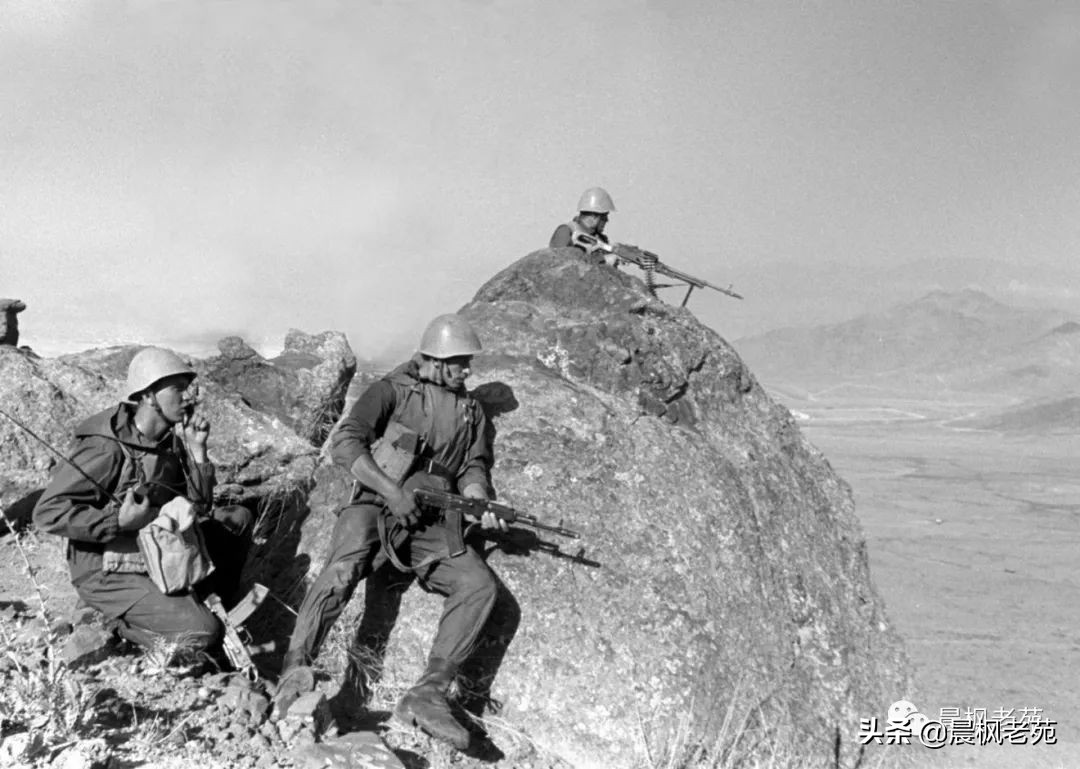 米24，狰狞的母鹿（下）