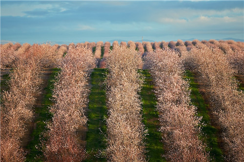 远离寒冷的冬季,告别冬天冷空气