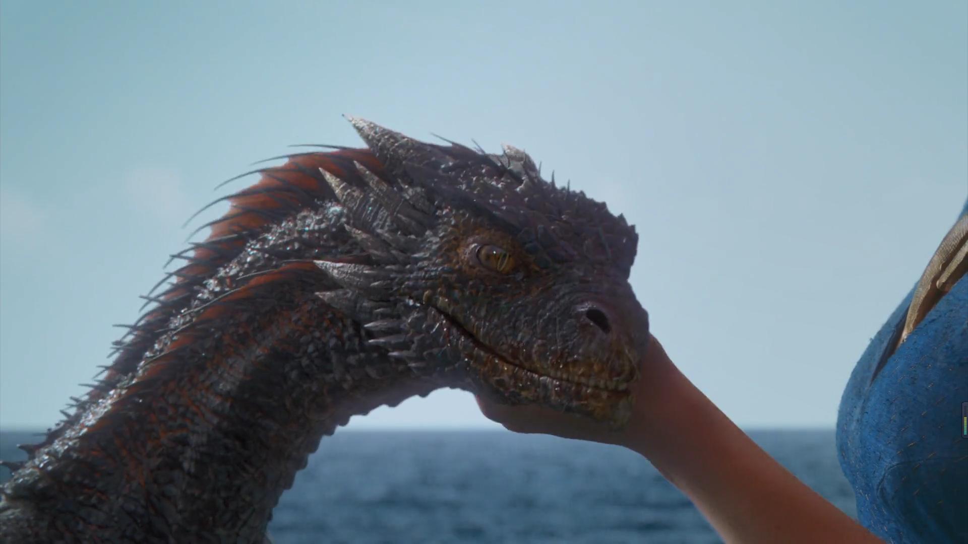 龙的成长之路完整版,龙的一生变化过程视频