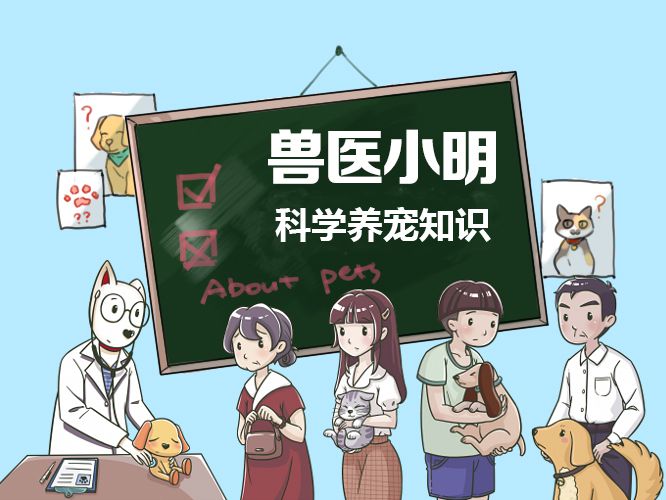 狗狗身上有螨虫用圣露薇可以吗,狗狗身上有螨虫和真菌区别图