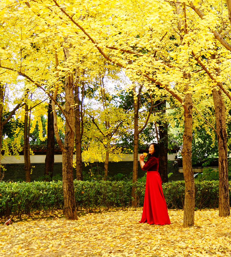 柳州的柳侯公园景色,柳州的秋天美景