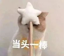 一女子在官方旗舰店买行李箱假货,旗舰店买行李箱是真的吗