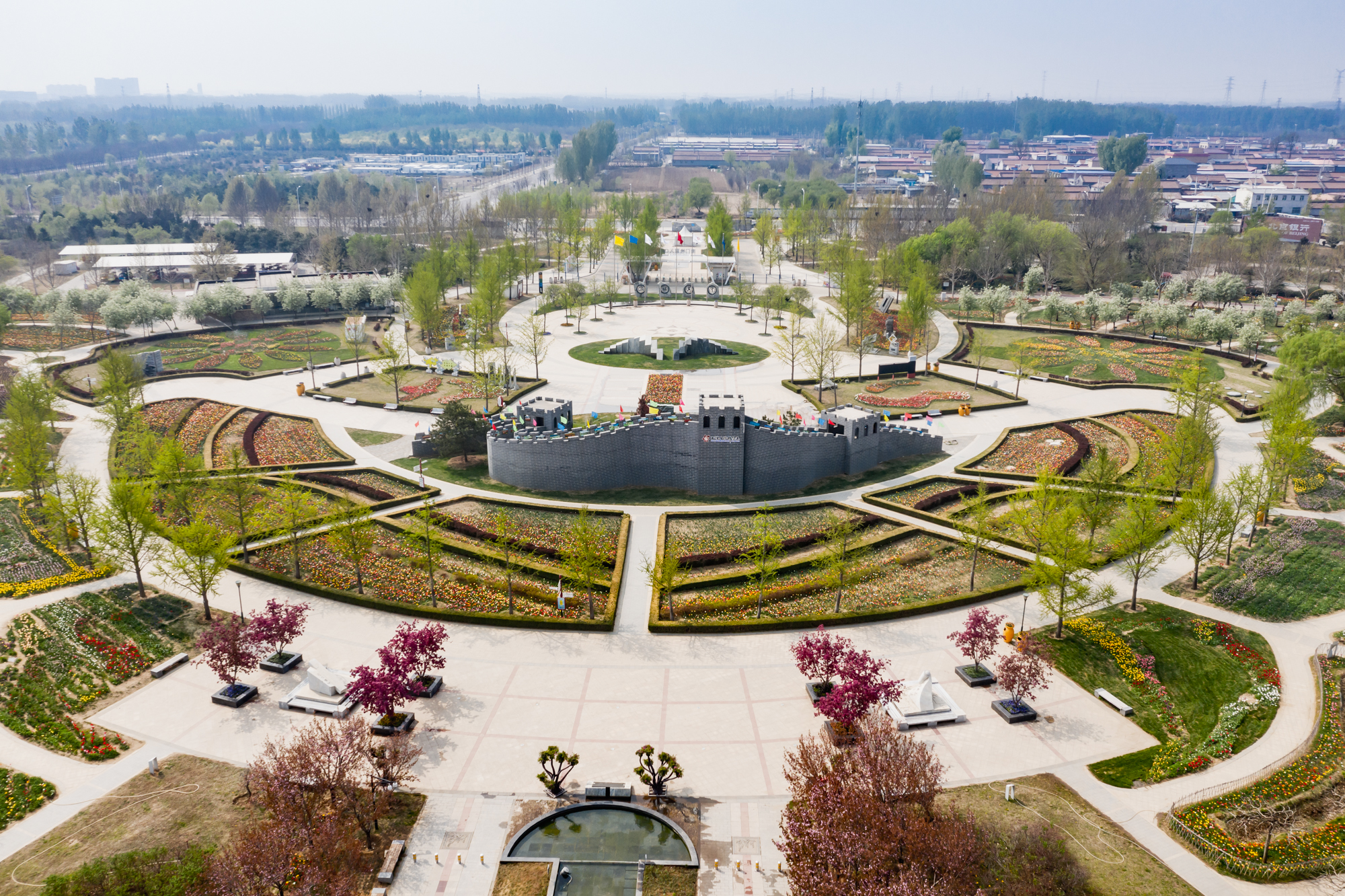 国际鲜花港郁金香,看郁金香北京国际鲜花港