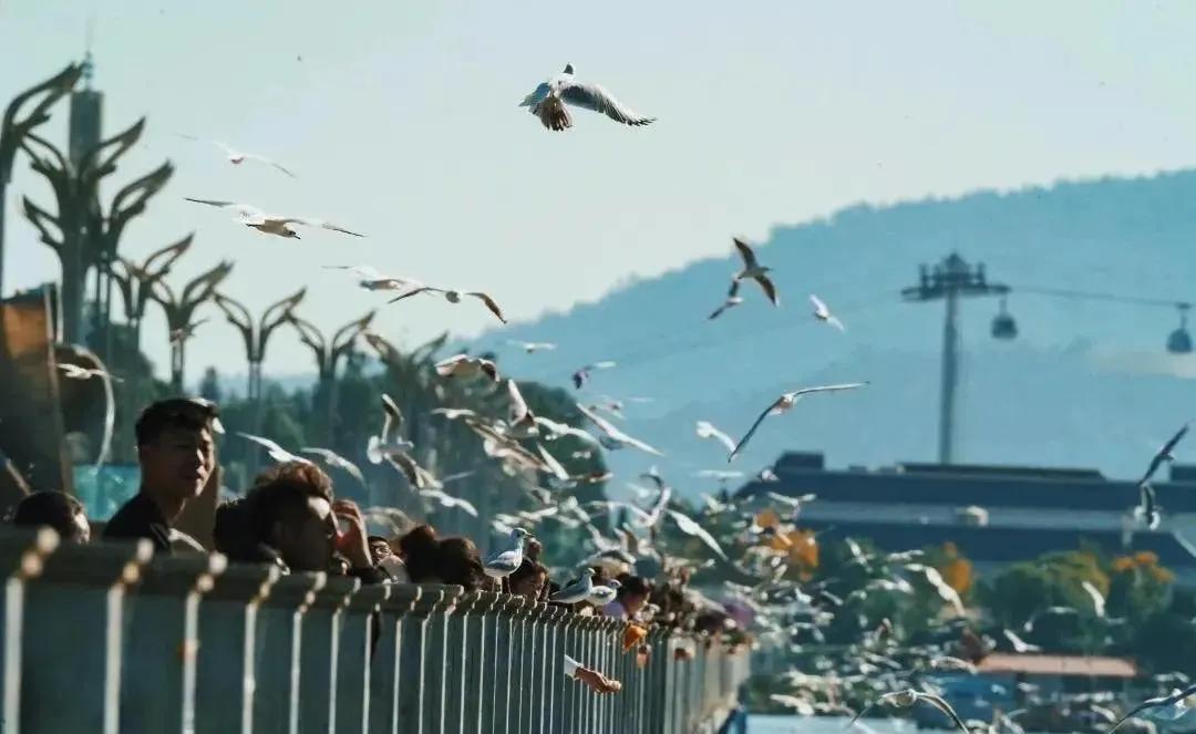 最近昆明有没有最值得去玩景点,推荐昆明最适合去玩的地方