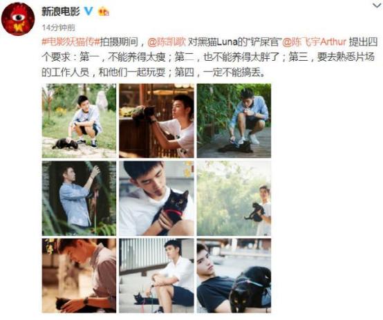 妖猫传杨贵妃电影,妖猫传预告片