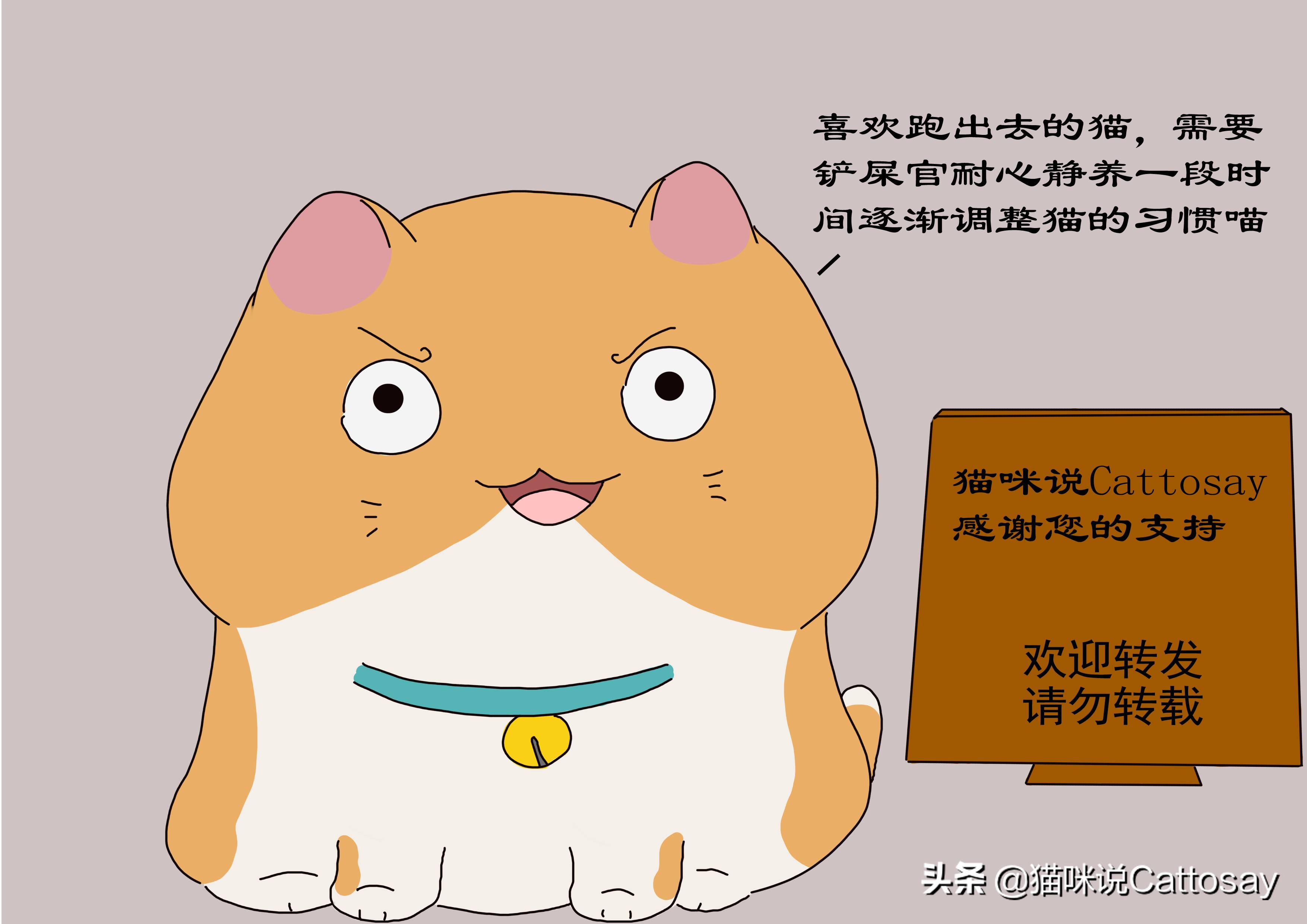 启禀铲屎官：您的猫跑了，猫想跑时会有3个细节