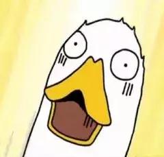 净网2019你真相信网上能借到钱吗,净网2019产品