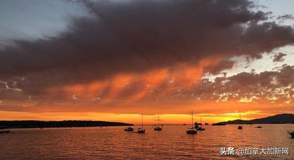 温哥华现最美晚霞+闪电温村秒变梦幻魔法城