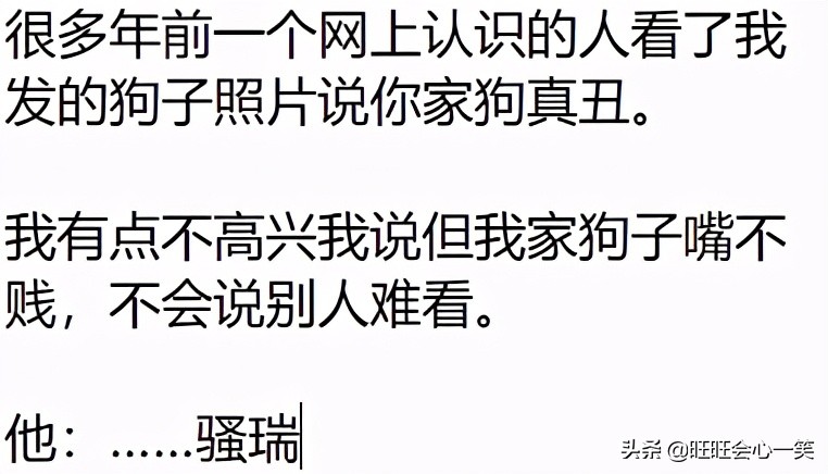 你最讨厌别人怎么评价你的狗狗？