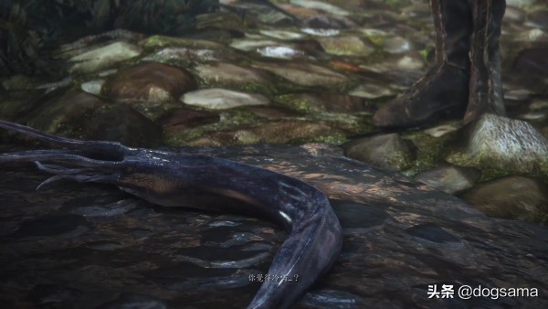 血源诅咒鉴别是不是年度版,血源诅咒结局的意思