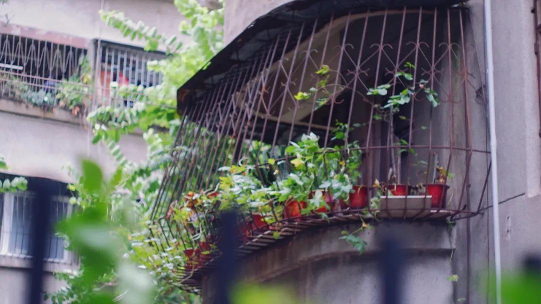 佛山桂城网红咖啡,佛山咖啡店一条街美食