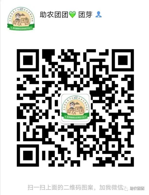 助农团团花溪直播,刺梨原汁精品