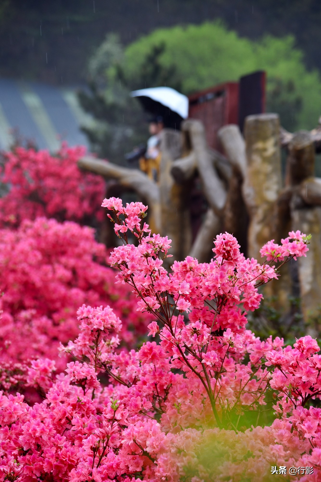 武汉青山网红打卡景点,云雾山武汉