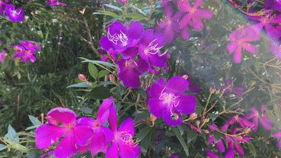 云浮硫磺温泉排名前十名,藏在云浮新兴深山里的温泉度假村