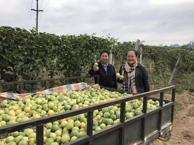 1688年销售额突破千万怎么报税,半年销售额破10亿如何做到的